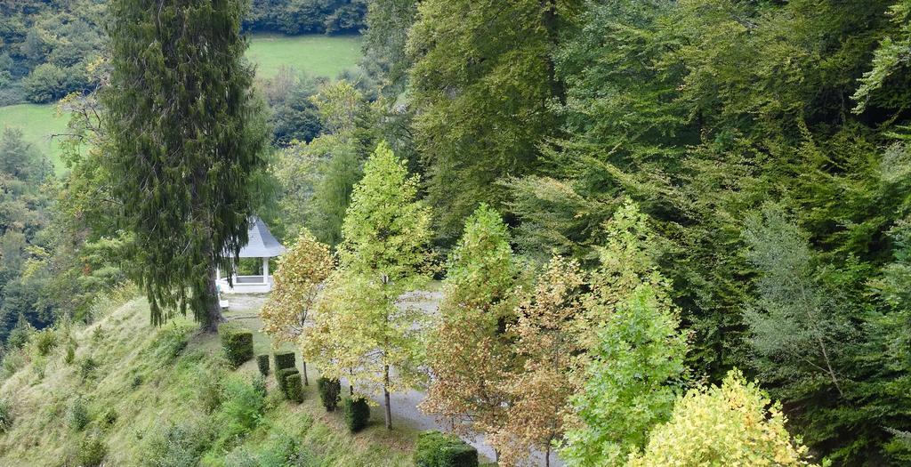 Hotel Des Eaux-Bonnes Dış mekan fotoğraf